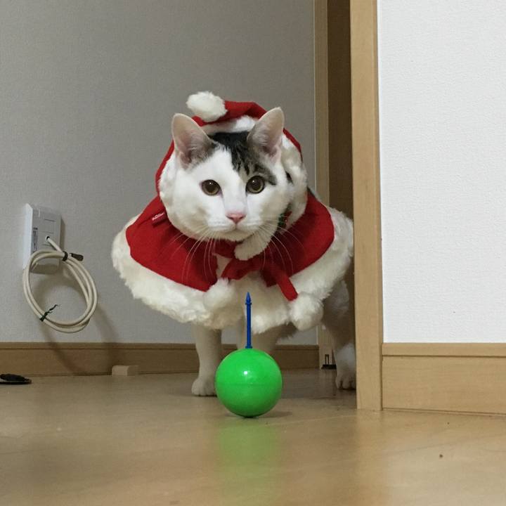 62b7264c 1811 4f57 b620 f93f3f22bc67