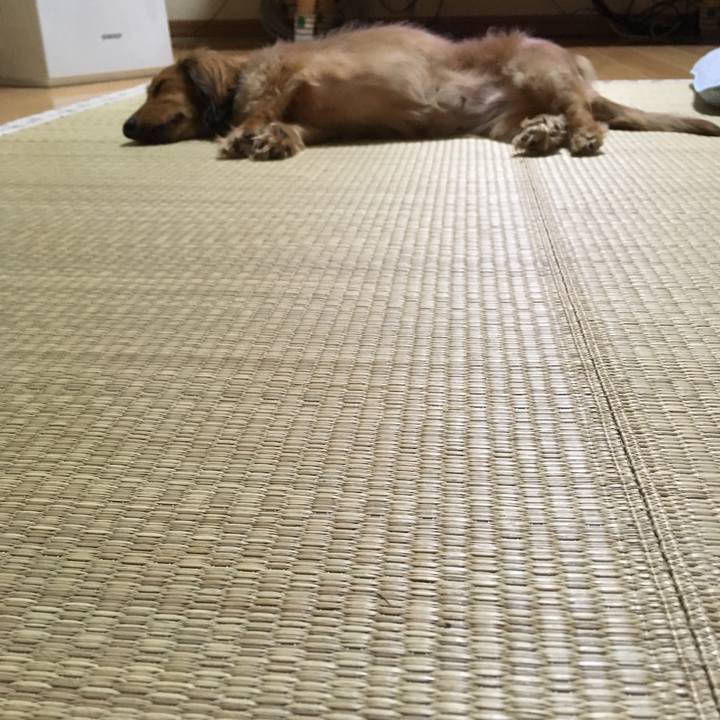 62b74b80 8731 49e0 ab88 f4e5591a735f