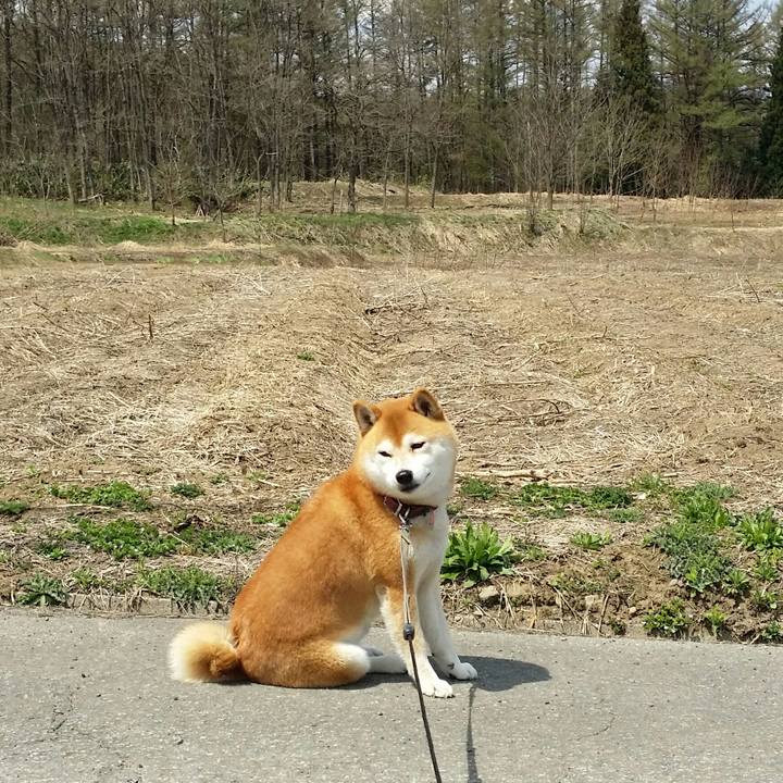 62b7bf08 fc8a 4e9c 9481 3b5282d1521c