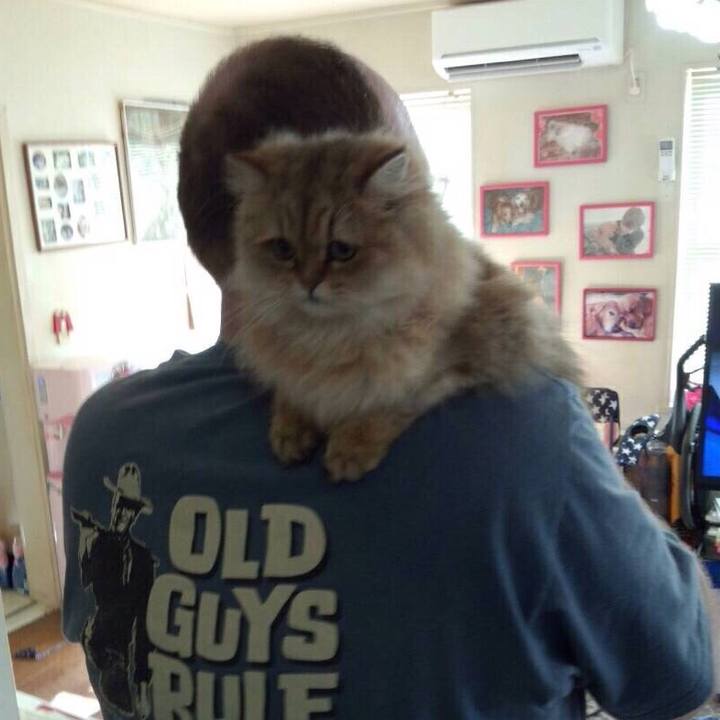 62b9a58b 47a9 4c03 8b09 8583787d5d27