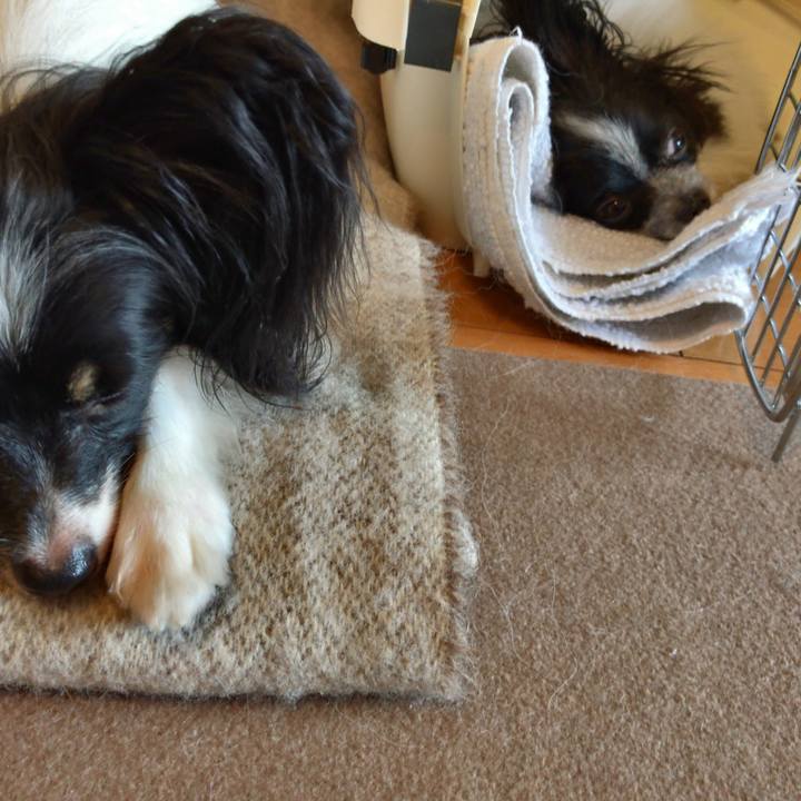 62bac54d 19e6 4804 9cdd bf6caf06e25a