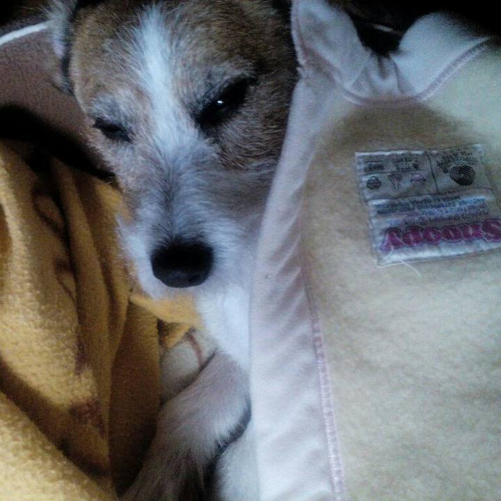 62bacae8 f0f6 4777 b518 83fda208f64b