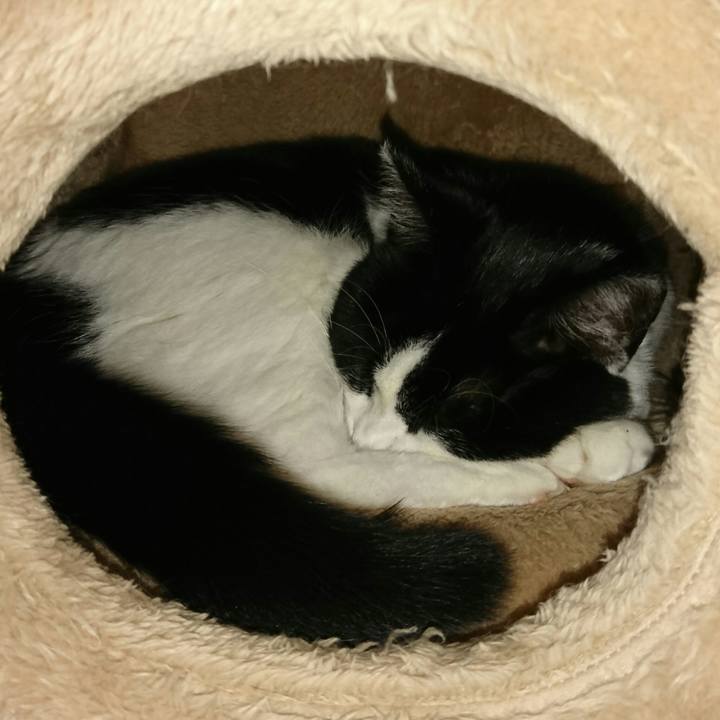 62bbb238 fd75 457a b1e9 261e05a01c0b