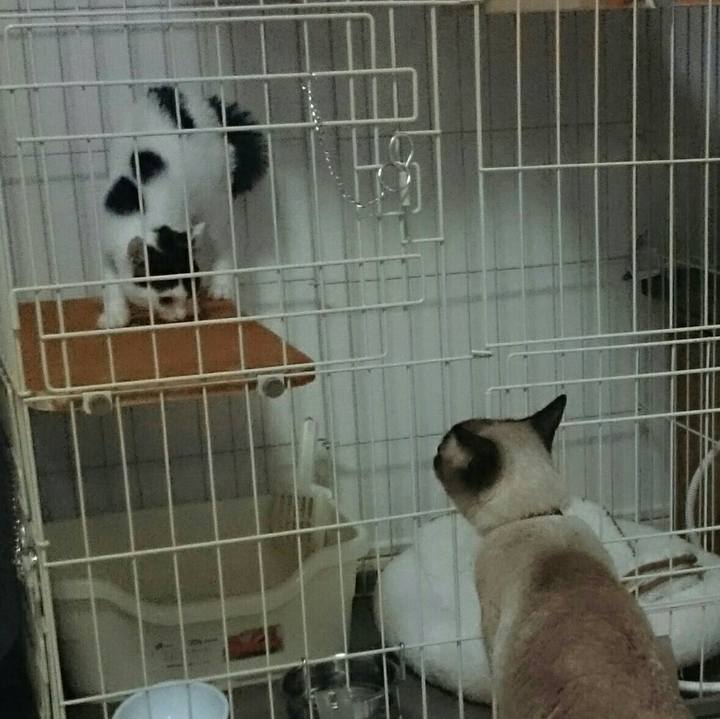 62bbc0f4 99d2 4e47 ab8e ae481a0da45f