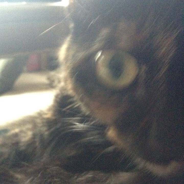 62bbd32b 4161 4541 b287 76da5ed4d9b9