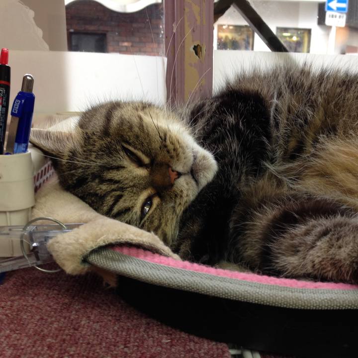 62bbdbf6 0f22 4231 927a 44b493df216a