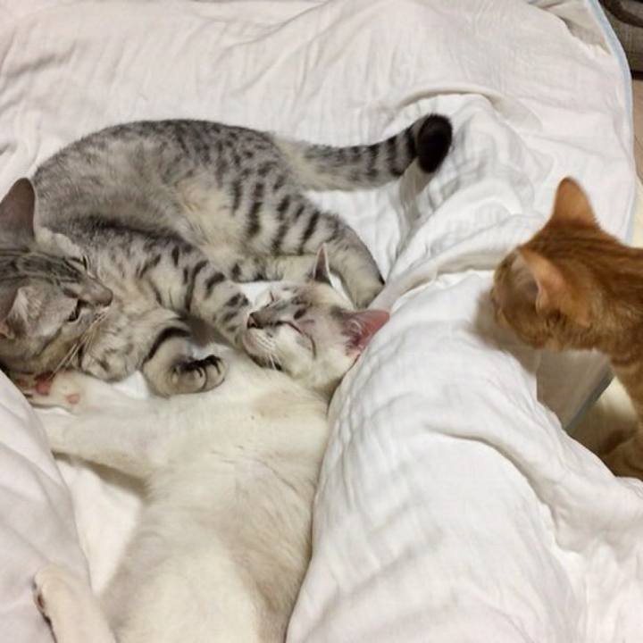 62bc00ef 809b 4008 a2fd 19425d524b11