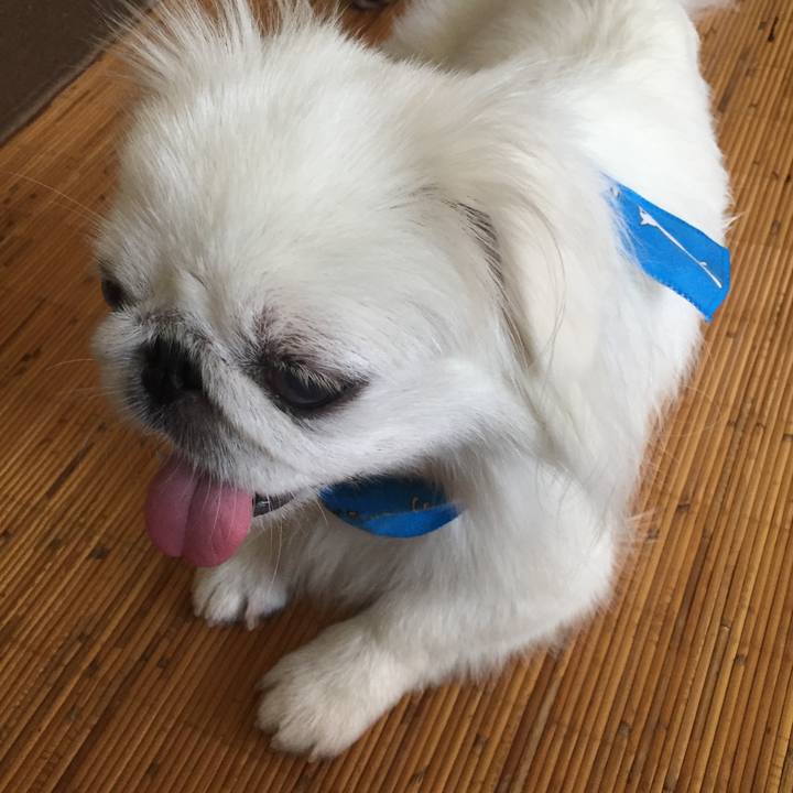 62bc1160 d21c 45ce ac14 4e182facce1c