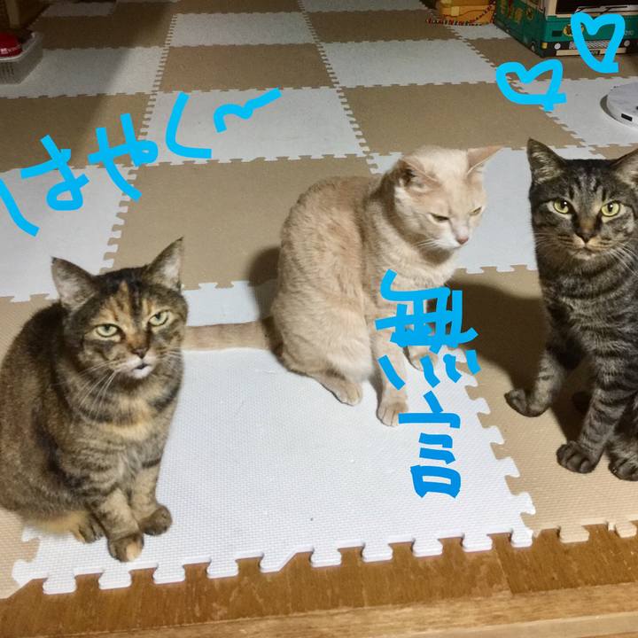 62bc9a64 dd49 4119 b2a8 a432003175bc