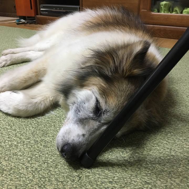 62bce6fd c711 470c 8c20 1905d6b7181d