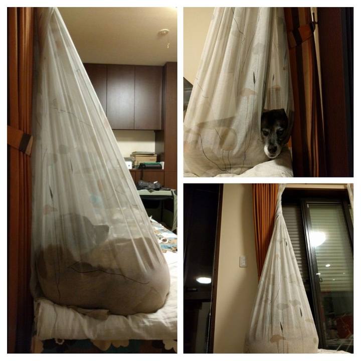 62bd05d4 1738 4de6 897b d9b62e614785