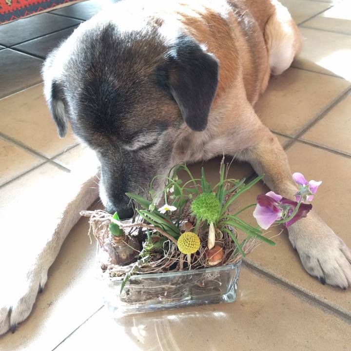 62bd2e52 3337 4525 879f d56ec0ebc416