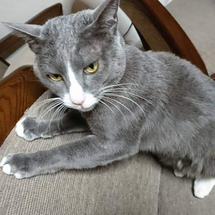 62bdb4ed fe53 4e8c b589 e2e24c0bedbc