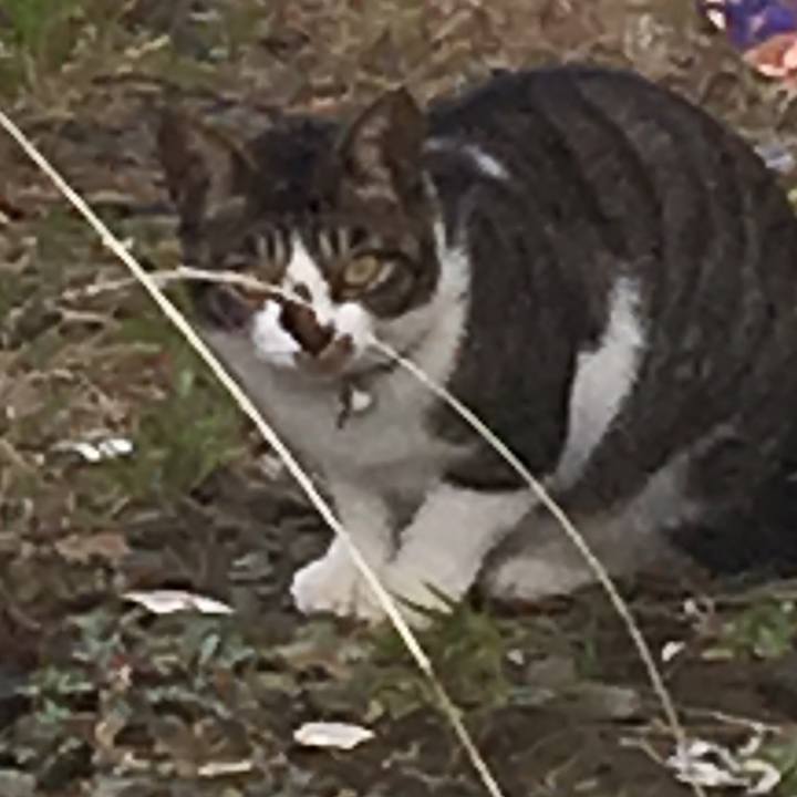 62be4b40 21d0 4cc3 9499 74a91c99e686