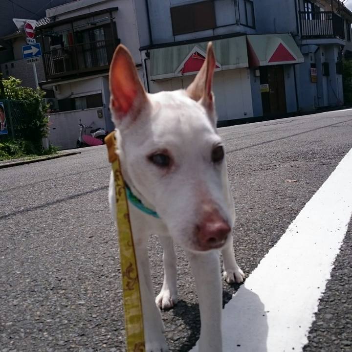 62bf19f8 e6ea 442c a3fa 669612eb89e7