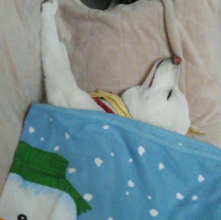 62bf5315 550f 4949 a684 a1085f3876e7