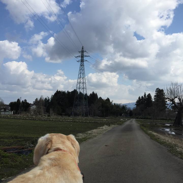 62bfd4a7 dd85 4a12 b457 e750369720e1