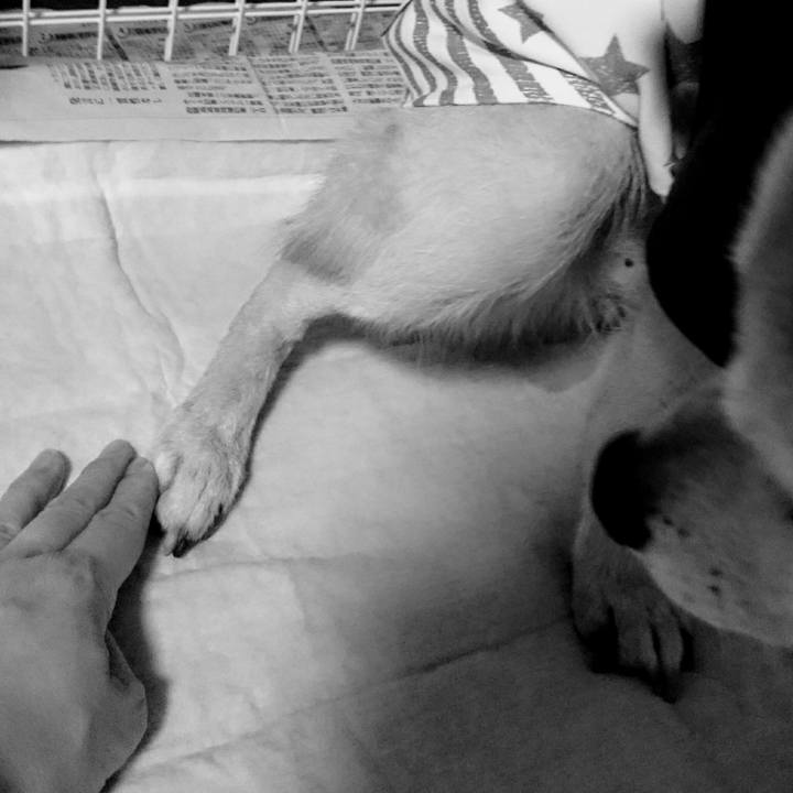 62bff54d cfa2 4f0a af14 af71db44d75a