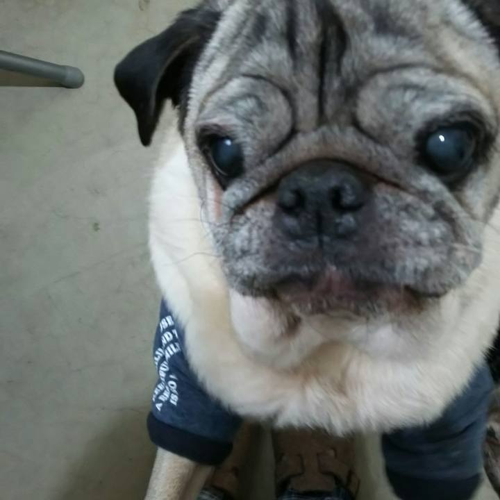 62c0b5ed 7100 4a52 b69e 89bab5a12cda