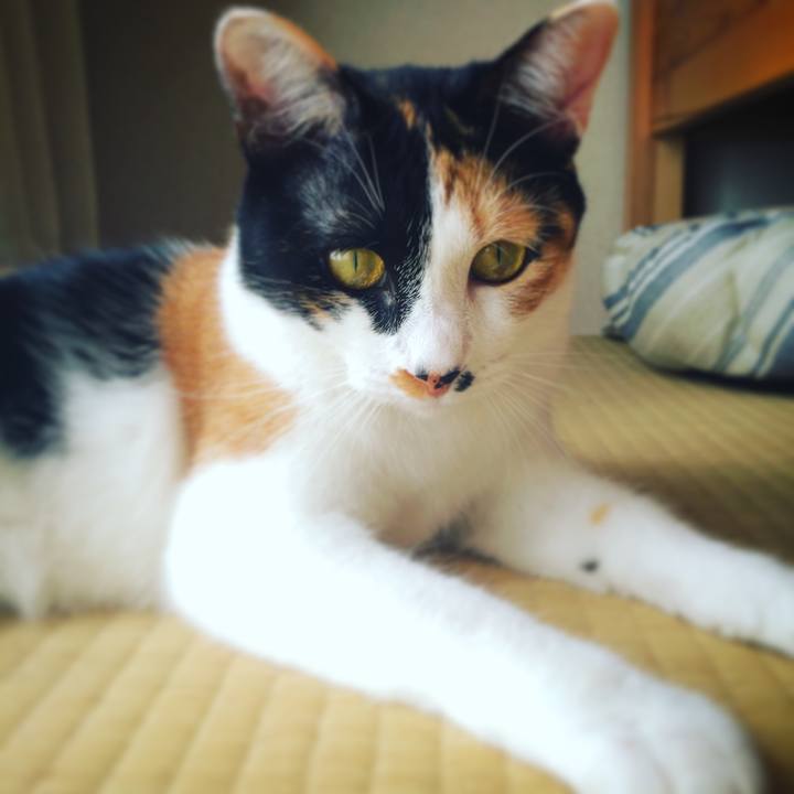 62c0f2c0 085a 4b50 8adf de9e1127a8c3