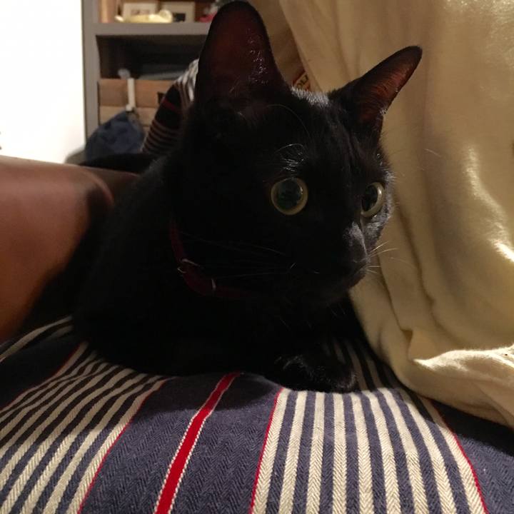 62c1e026 75f8 46d0 a76d a0f7f1ca1708