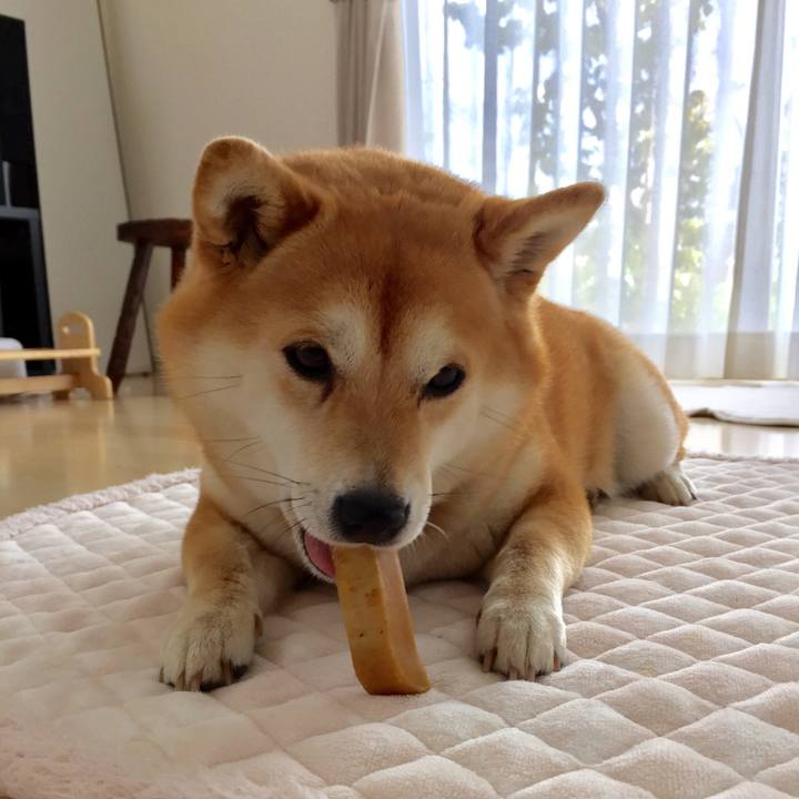 62c2010a b3c5 47a0 97f8 9eef486f3402