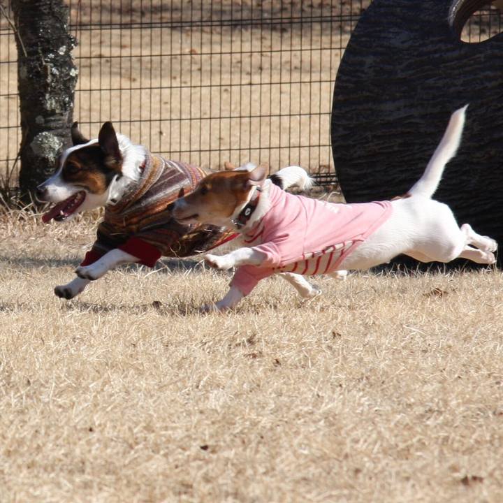 62c27eac 813b 42ae 9f62 c7892e7283ec