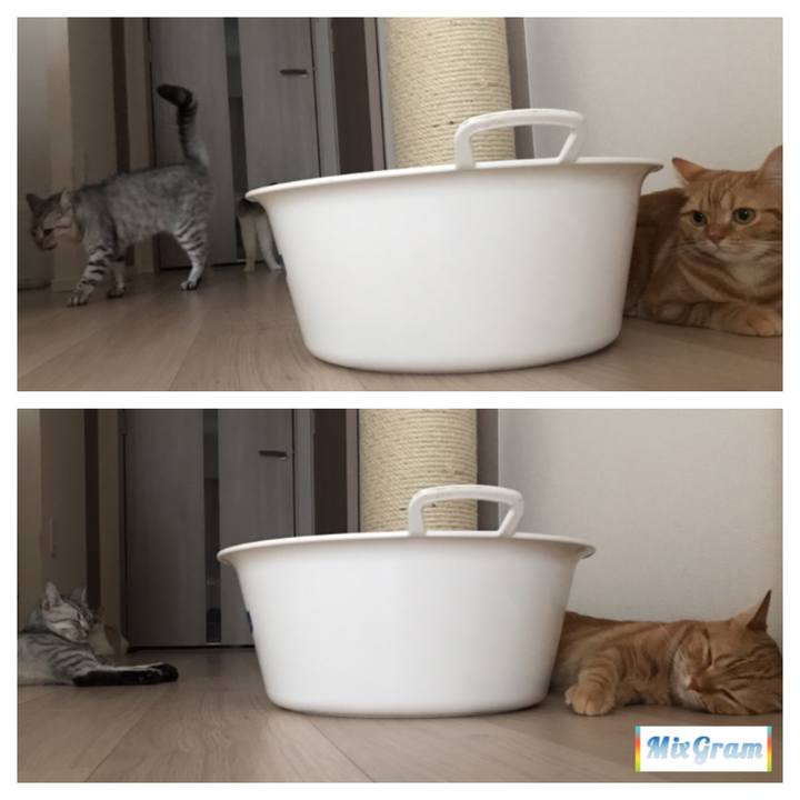 62c2ab4c 269c 47ec 851c f6c137ed6519