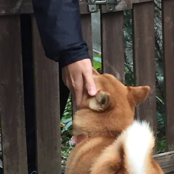 62c2ad9b 57a2 4efb 8fb2 fdaeb977be17