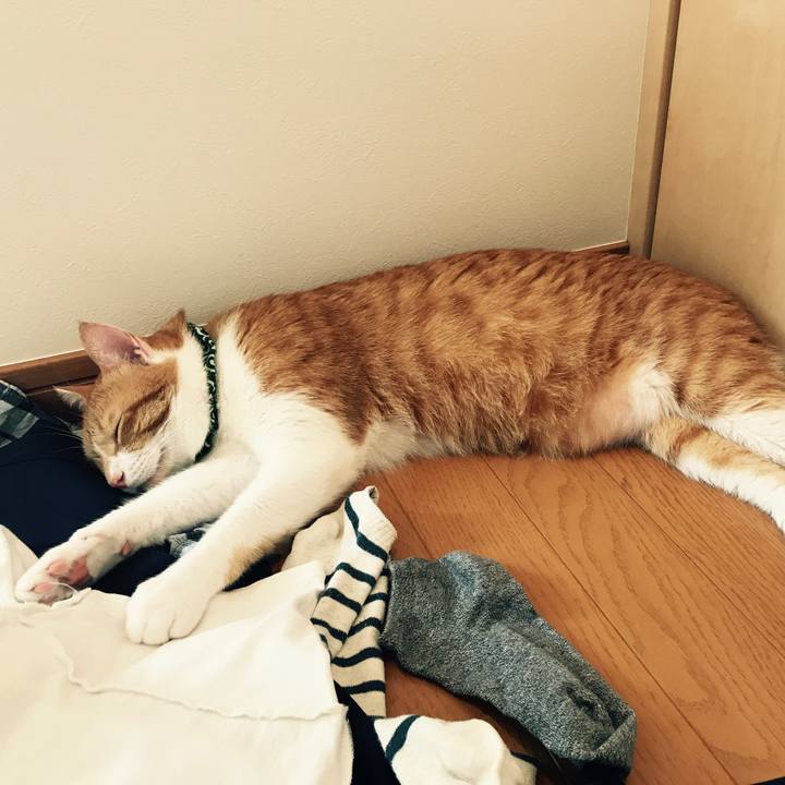 62c2ca1b 028b 44c9 83b6 383fff6bfe9e