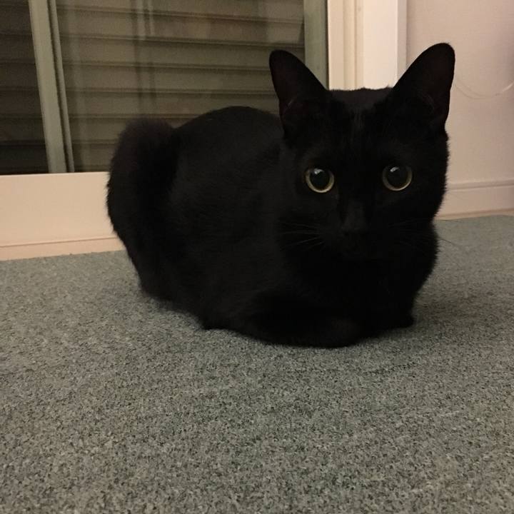 62c31476 6374 48af 84f8 29adbac71b9f