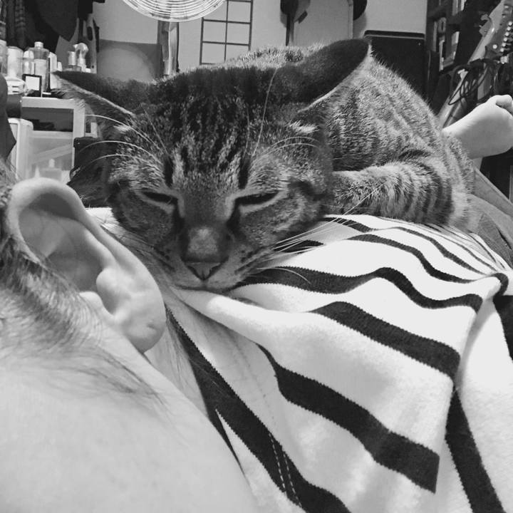 62c3418f 0f3e 4bb8 85ba 8c020e379563