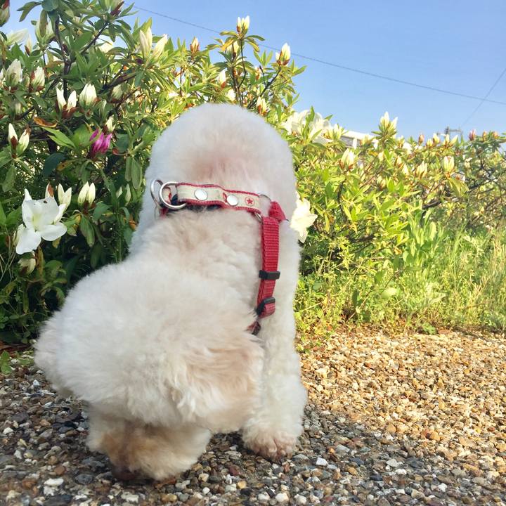 62c36124 0e45 4594 96cd ebd715fb54b2