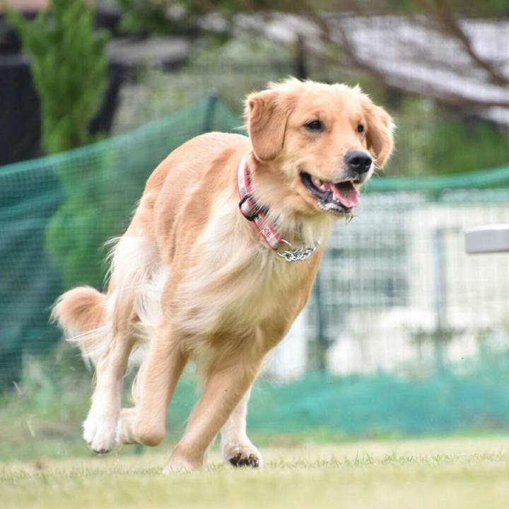 62c43b78 7478 4b2d 9702 576e6f37a82b