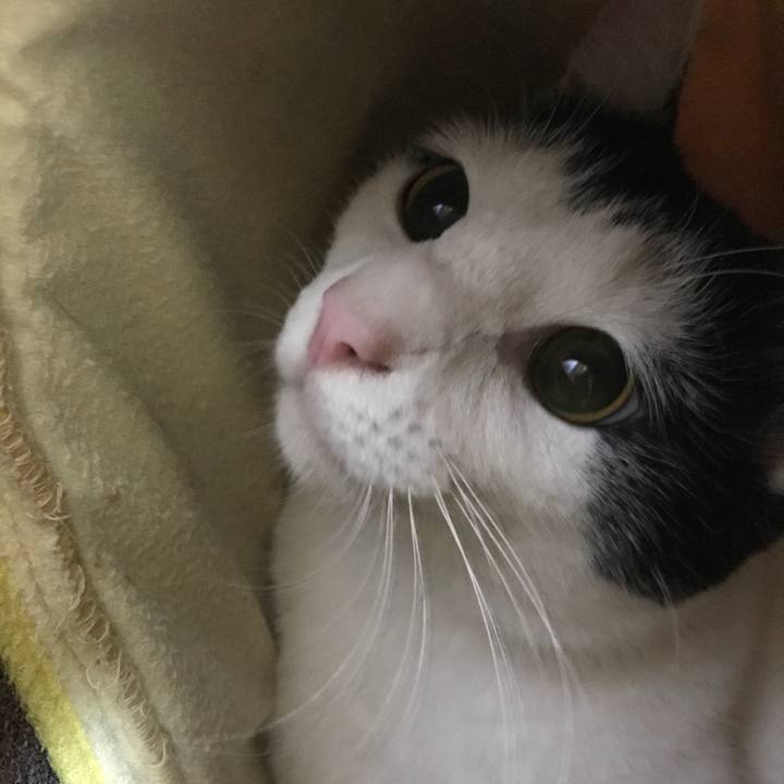 62c47b46 c505 480b 9e61 4630d767a791