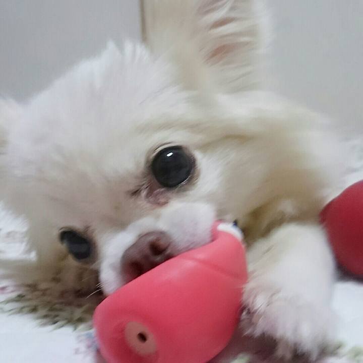 62c49afd ab1f 46f9 8035 69d07e6f6ca6