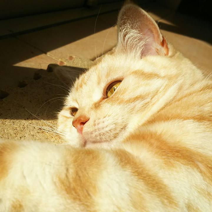 62c62d71 3404 4b07 96a3 a54cf62a6c50