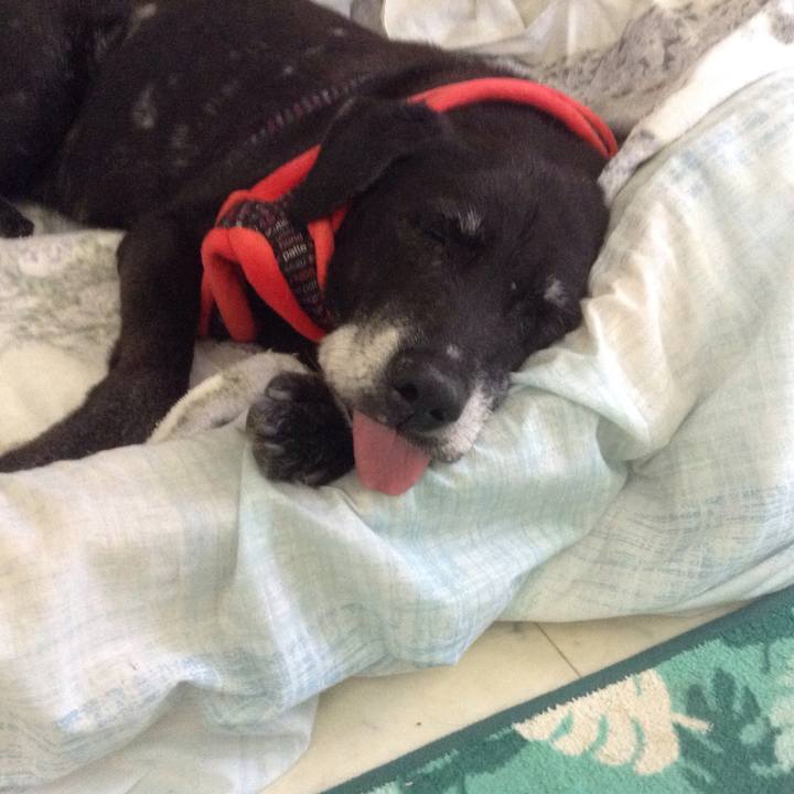 62c63c76 b534 418a 941d 781fb314f327