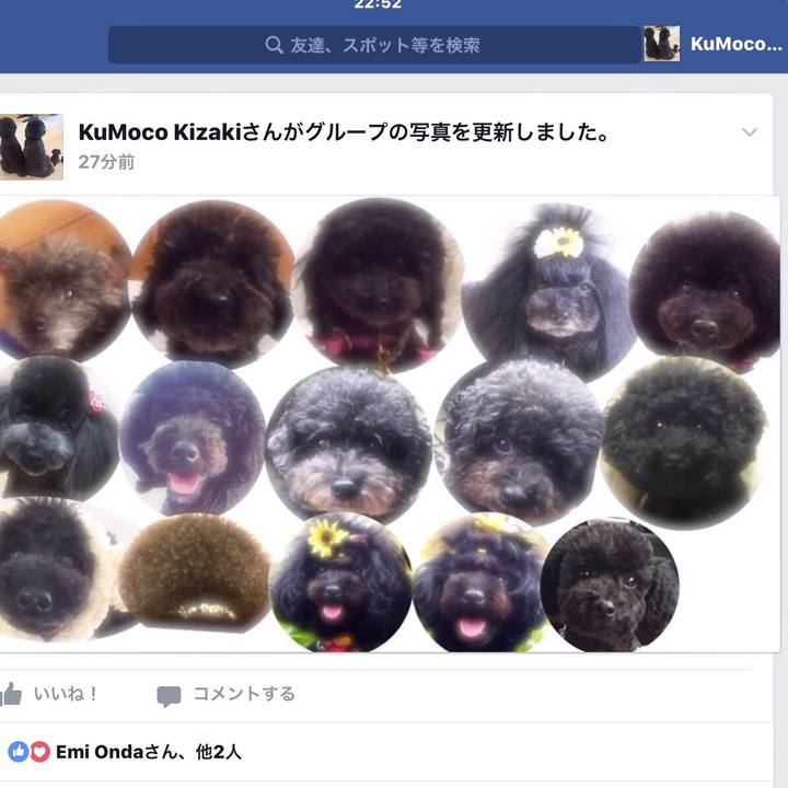 62c65cd0 a050 46cd ad4b b76215926485