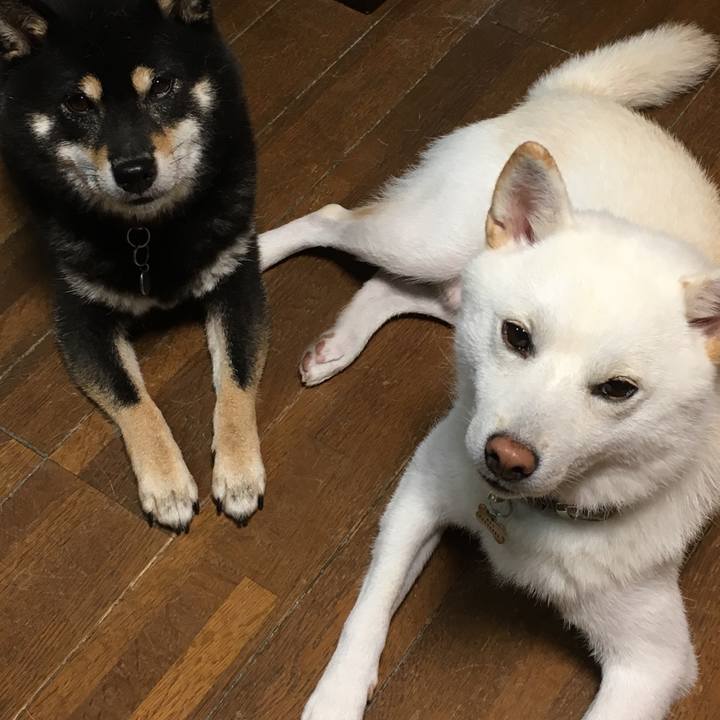 62c6a31c 3618 4e7e 9b3d 4caaa0f7d430