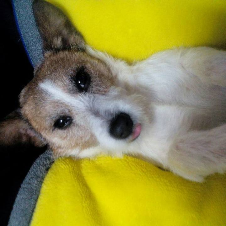 62c6aea4 834a 4af3 beb0 c4afe0b1c603