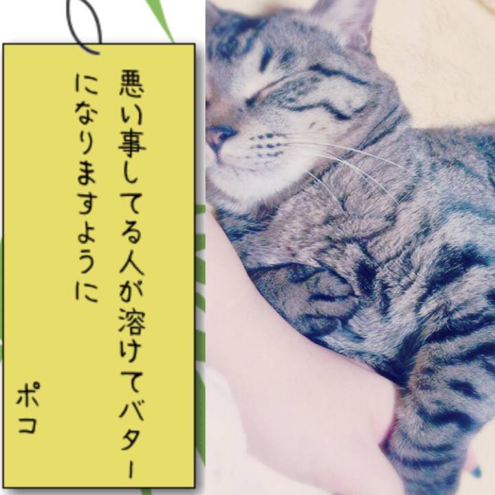 62c6b1be a26b 43b2 9edc 8d2506347fed