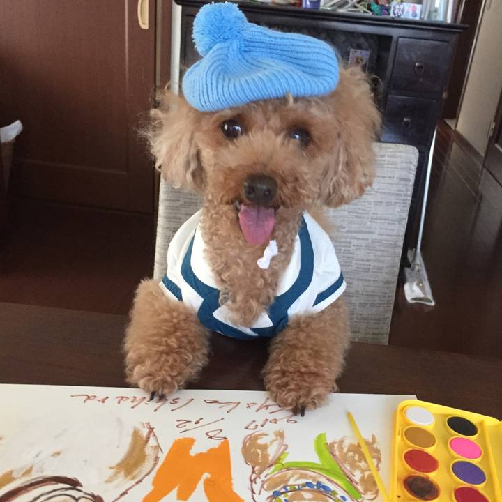 62c7695c ecd3 4b58 85ab 4cab4ee08b52