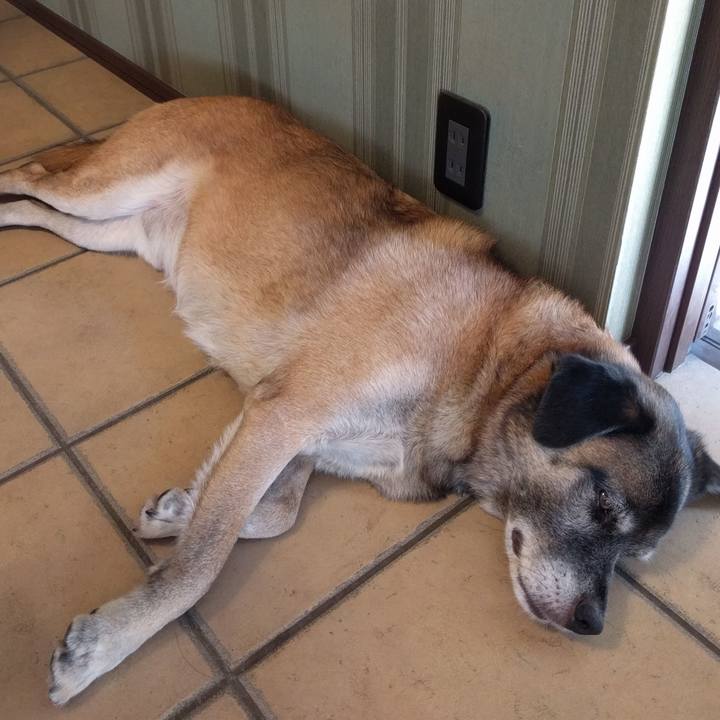 62c7a15a 82ca 4b7d 8f70 339d12b445b5