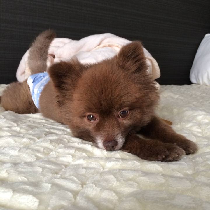 62c7d03f e93e 4c8b a763 013415e76116