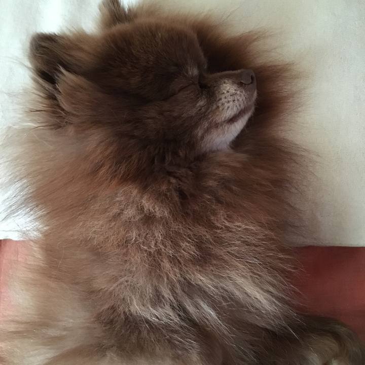 62c7eb3c 1cec 4043 8f3c 433d6305097e