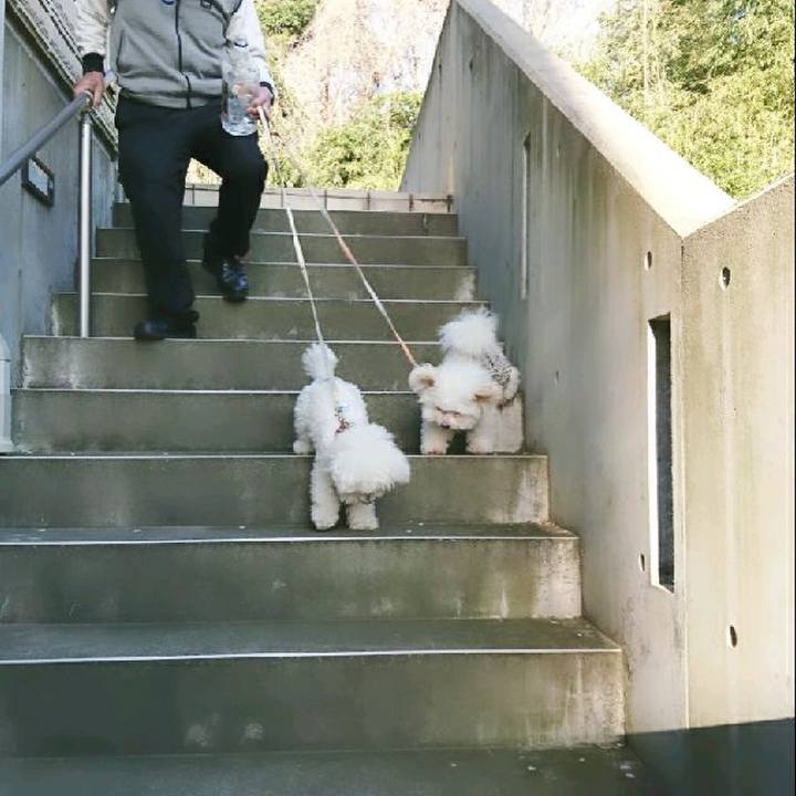 62c7f2b9 30d2 46af b7cd 5c6869f8bdee