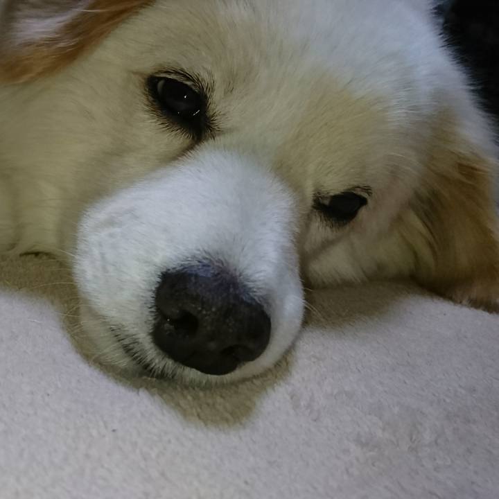 62c8337f 3ec0 4f88 aaca 62126d948922