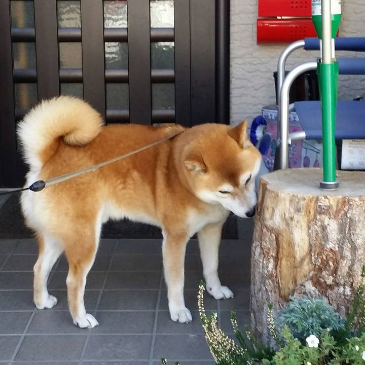 62c87100 dd5d 4425 a88d d00d78ea80f2