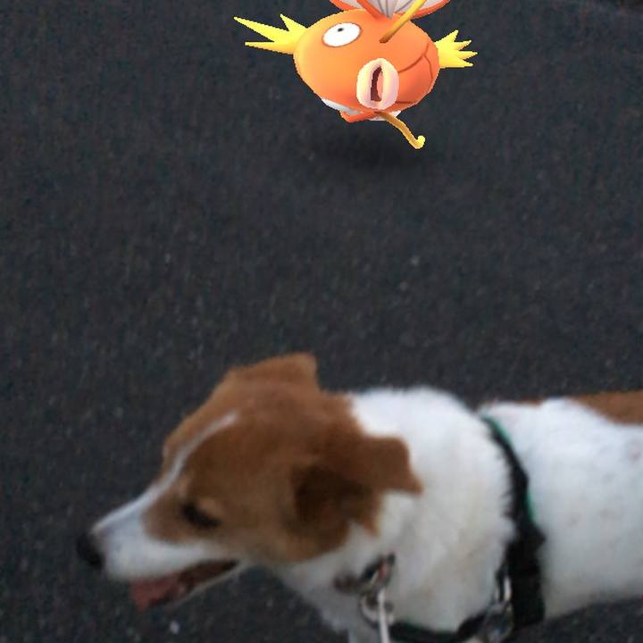 62c8a82e cf06 4261 ac35 026964ea89f0